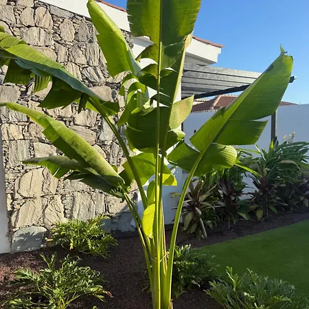 Paso Chico Gran Canaria - Men Adults Only - Clothing Optional San Bartolomé